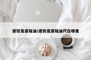 速锐变速箱油/速锐变速箱油尺在哪里