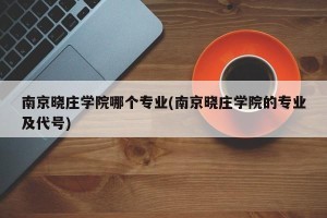 南京晓庄学院哪个专业(南京晓庄学院的专业及代号)
